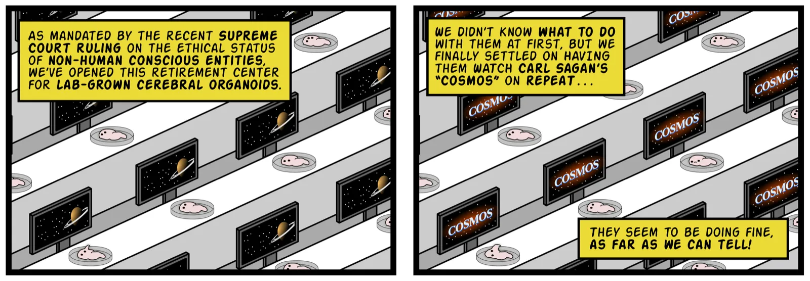 Two-panel cartoon: a retirement center for lab-grown cerebral organoids, who watch Carl Sagan&#x27;s Cosmos on repeat