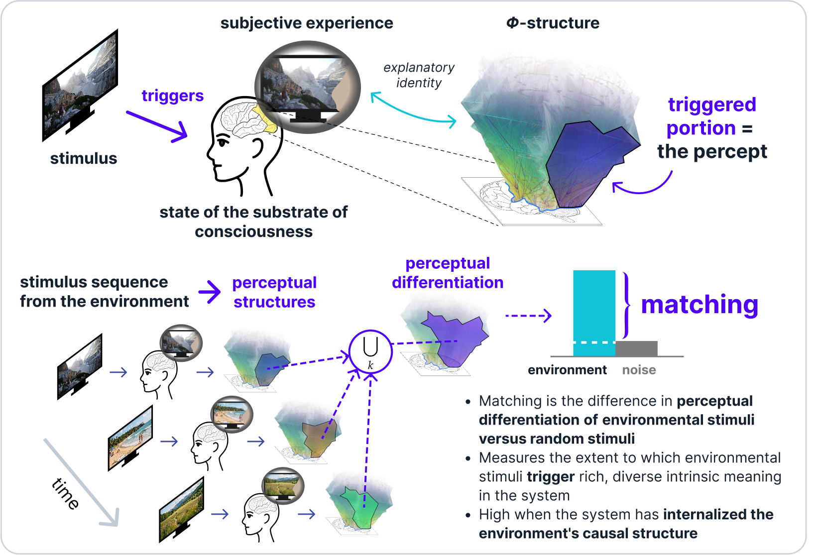 Graphical abstract: a stimulus triggers a portion of a complex's intrinsic Φ-structure (the percept); over a sequence of stimuli this yields perceptual differentiation and matching to the environment.